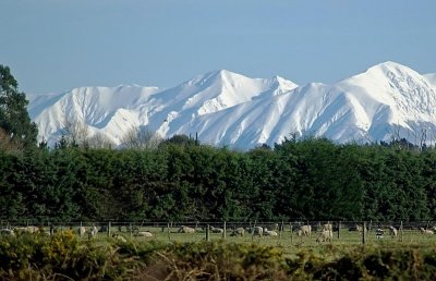 Winter Southern Alps.1.jpg