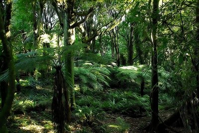 Stylised Tree Fern Garden.jpg