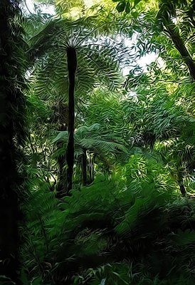 Tree fernscape.jpg
