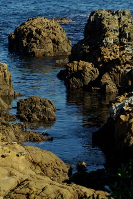 Seaside rockscape.Island Bay.