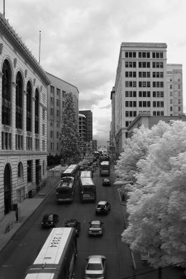 i57A_9874 bw.JPG