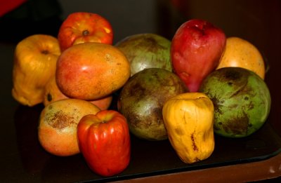 Garden : Fruits & Vegetables Dominican Republic & USA
