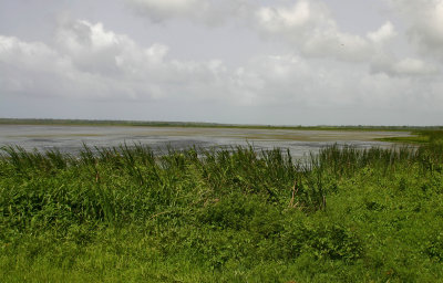 Laguna Limon-Nisibon 7.jpg