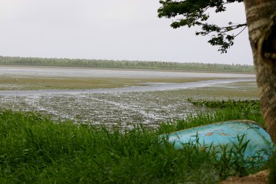 Laguna Limon-Nisibon 19.jpg