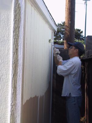 Painting the back of the shed.
