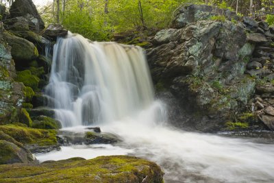 _DSC1208.jpg
