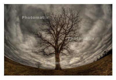 _DSC5199_8_7_6_5_tonemapped-3.jpg