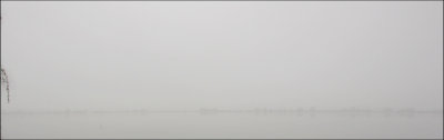 4556.jpg