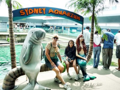 Sydney Aquarium Visit