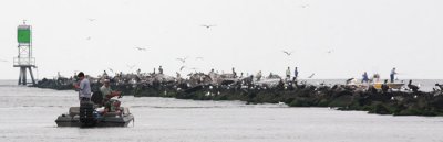 Calcasieu River Jetties