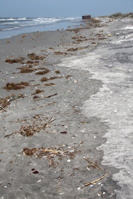 Oil from BP spill starting to wash up on beach.