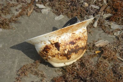 Oiled Hard hat washed up on beach.