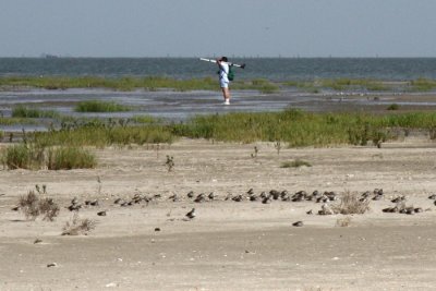 Melvin Weber with sleeping Dunlin in foreground.