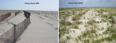 Trinity Island Comparison, 2008-2010