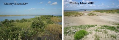 Whiskey Island Comparison, 2007-2010