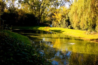 Pond, October 20