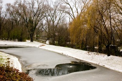 Pond, December 2
