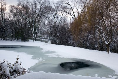 Pond, December 5