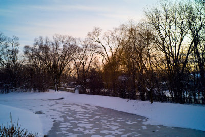 Pond, March 22