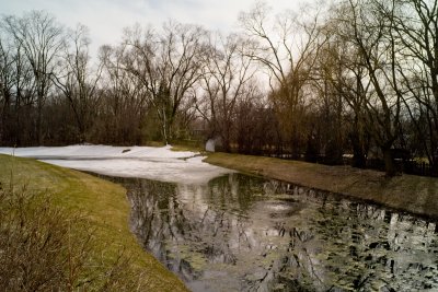Pond, March 29