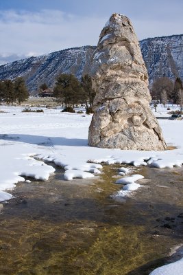 Mammoth Cone