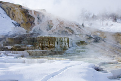 Mammoth Travertine Terraces