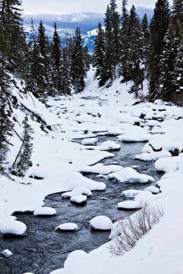 Creek in winter