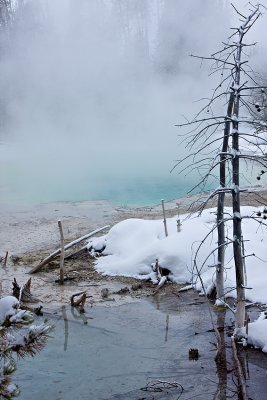 Norris Geyser Basin