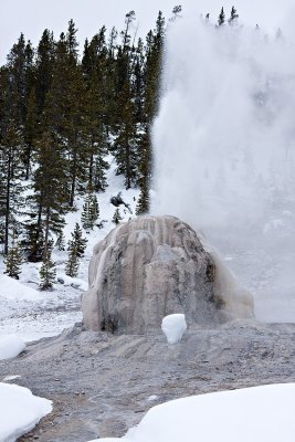 Lone Star Geyser