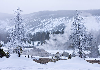 Upper Geyser Basin