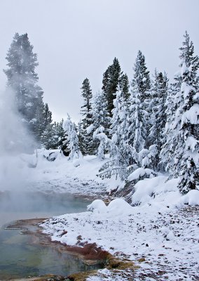 West Thumb Geyser Area