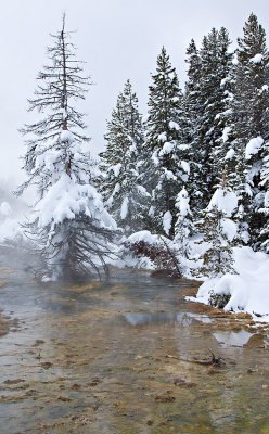 West Thumb Geyser Area
