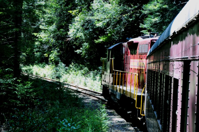 Skunk Train