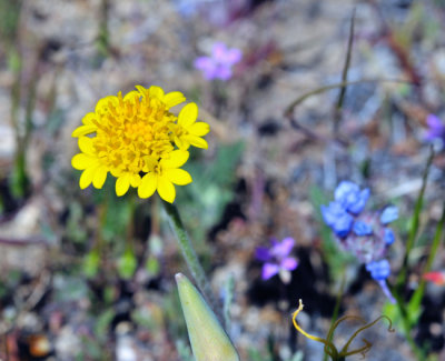 DSC_21765.jpg