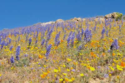 DSC_21772.jpg