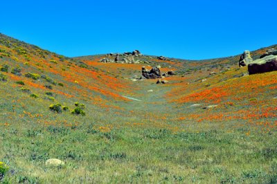DSC_21777.jpg