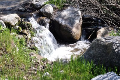 DSC_21959.jpg