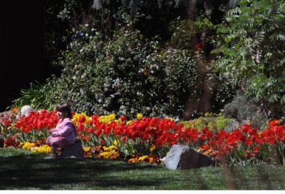 Flower bed With Child