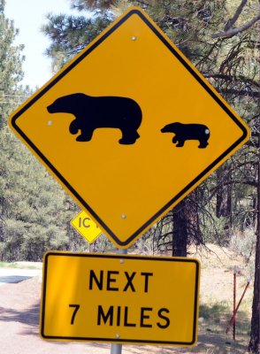 bear sign