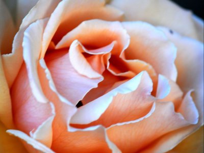 LOVE IS DOING SOMETHING FOR SOMEONE  ELSE