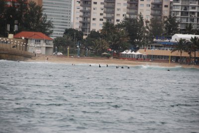 SURFERS