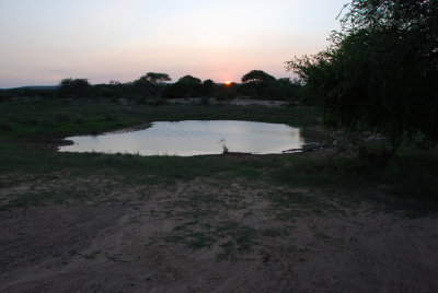 OUR LAST SUNSET AT PHINDA