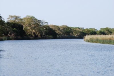 g3/60/816160/3/89685599.HQaXaHob.jpg