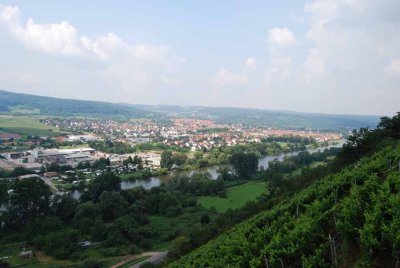 VIEW TO WOERTH AT RIVER MAIN