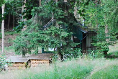 SIMONS REST