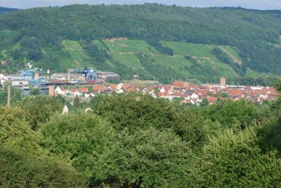 VIEW TO WOERTH