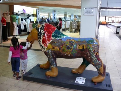 Nairobi Lion campagne D LOUPPE 89.jpg