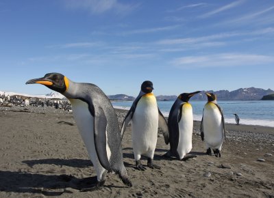 Antarctica and the Atlantic