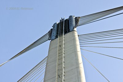 Lots of cables needed to hold up the bridge.