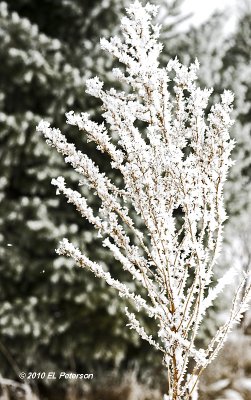 g3/60/862960/3/121135029.iQE0H3Js.jpg